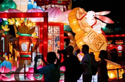 香港中秋燈會(huì )亮燈 市民觀(guān)燈迎中秋