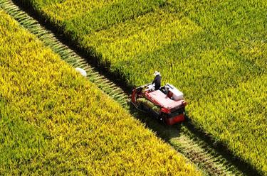 飛閱中國丨寒露時(shí)節農事忙