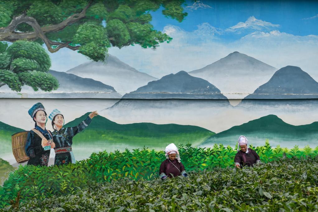 鏡觀(guān)中國丨全面深化改革十年間&middot;鄉村振興新面貌