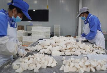 福建長(cháng)?。盒∮箢^ 大產(chǎn)業(yè)