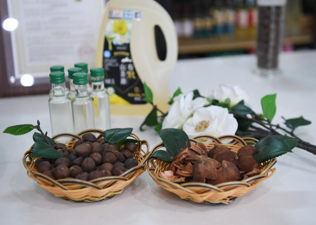 廣東乳源：荒山變&ldquo;油田&rdquo;