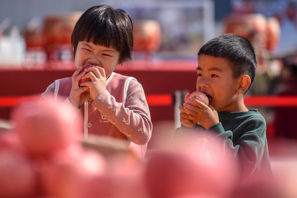 山東沂源：蘋(píng)果節助民增收