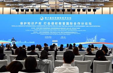 第六屆虹橋國際經(jīng)濟論壇&ldquo;保護知識產(chǎn)權 打擊侵權假冒國際合作&rdquo;分論壇舉行