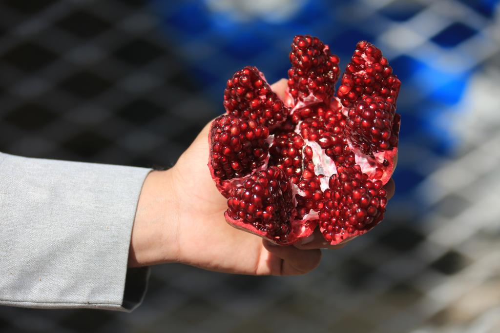 首次亮相進(jìn)博會(huì )的阿富汗石榴