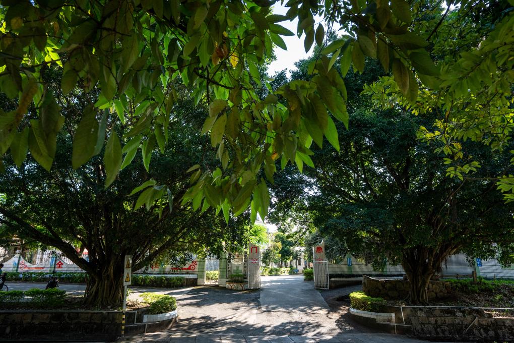 &ldquo;國門(mén)醫生&rdquo;沈坤：懸壺三十載 仁心護健康