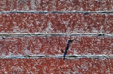 河北遵化：山楂產(chǎn)業(yè)生態(tài)富農