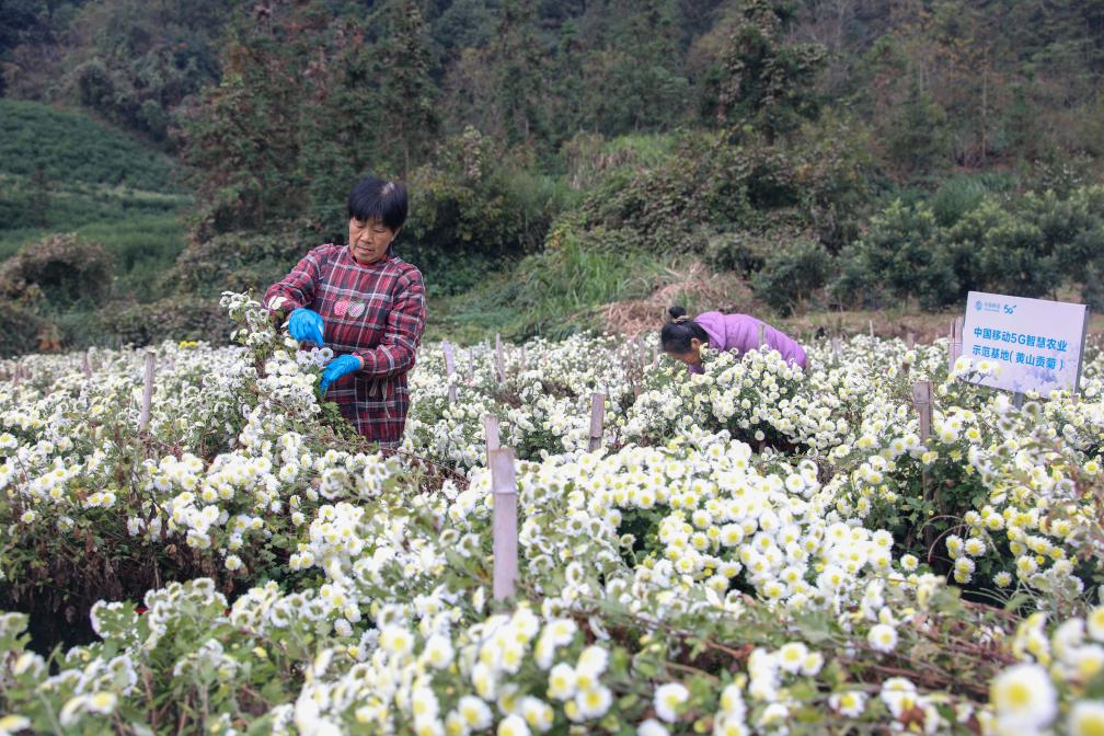 &ldquo;智慧農業(yè)&rdquo;助推產(chǎn)業(yè)提質(zhì)增效