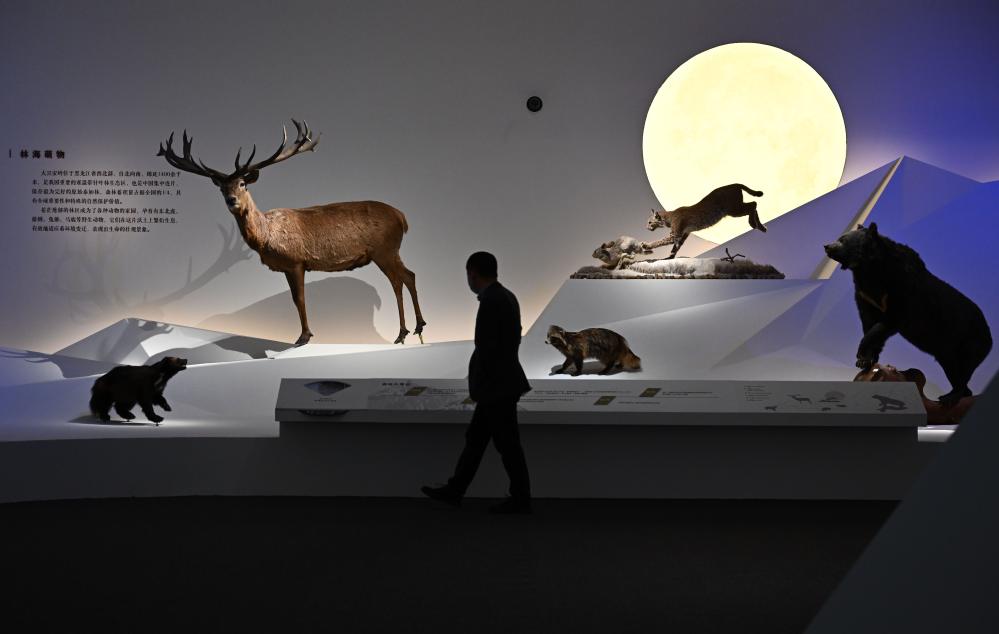 &ldquo;共同家園&mdash;&mdash;大自然的奇跡&rdquo;展覽在國博舉辦