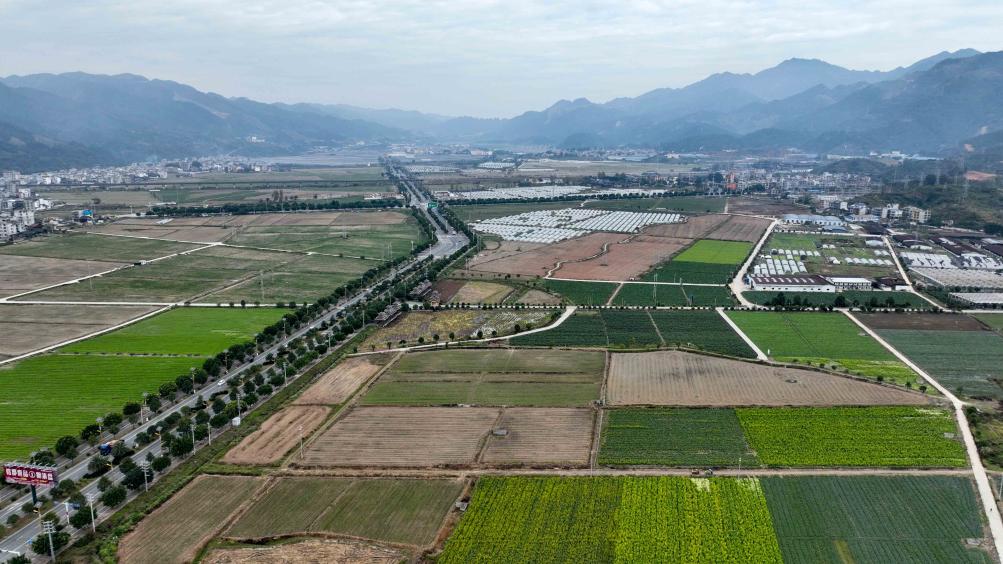 貴州榕江：打造大灣區&ldquo;菜籃子&rdquo;帶動(dòng)村民增收