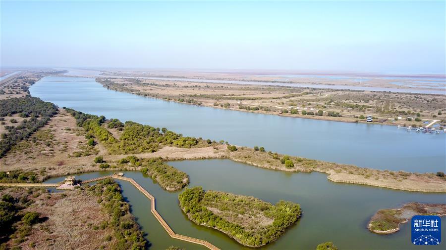 (新華全媒頭條·圖文互動(dòng))(4)鯤鵬展翅九萬(wàn)里——以習近平同志為核心的黨中央引領(lǐng)中華民族邁向偉大復興述評