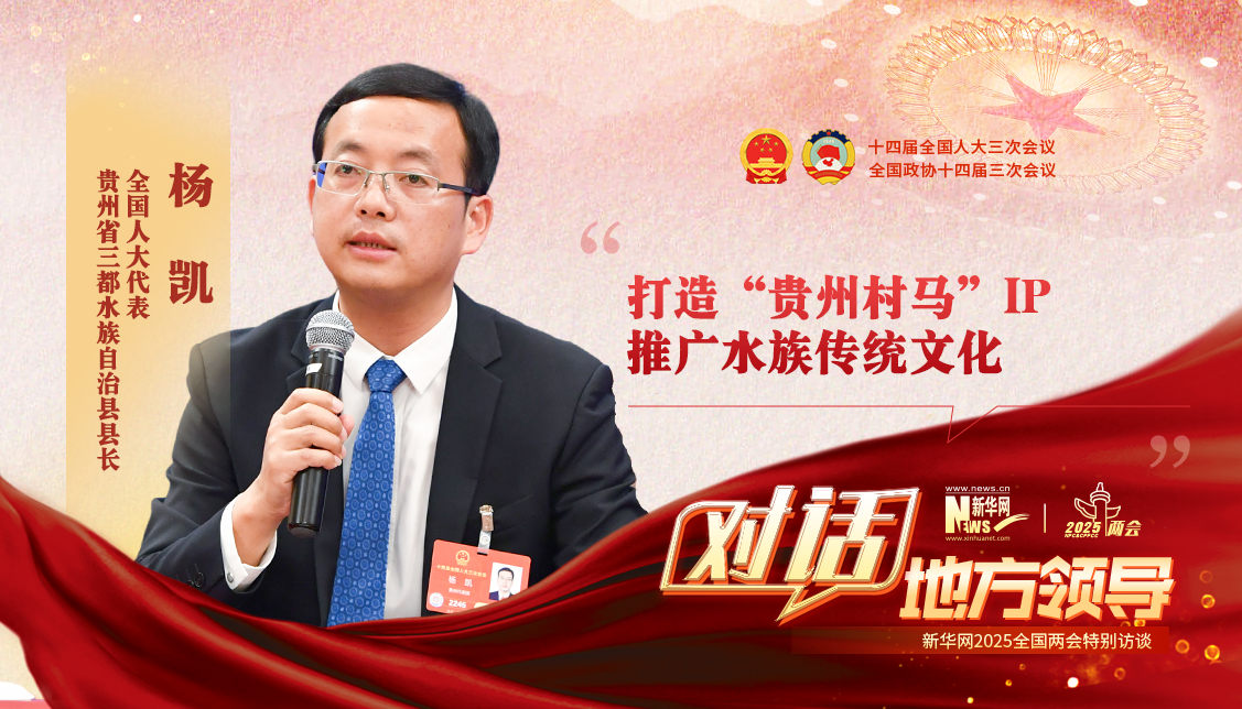 打造“貴州村馬”IP 推廣水族傳統文化