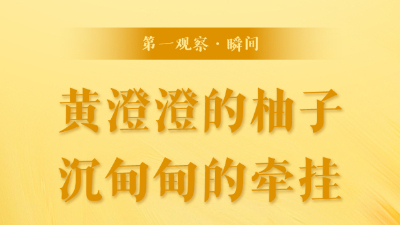 第一觀(guān)察·瞬間丨黃澄澄的柚子，沉甸甸的牽掛