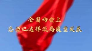 兩會(huì )上，總書(shū)記這樣談高質(zhì)量發(fā)展