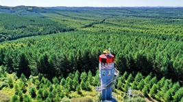 聆聽(tīng)習主席2022年新年賀詞：&ldquo;讓我們一起向未來(lái)&rdquo;