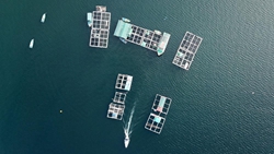 在漁排，遇見(jiàn)不一樣的香港