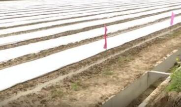 農資儲備充足 機械化省人力——疫情下的春耕觀(guān)察