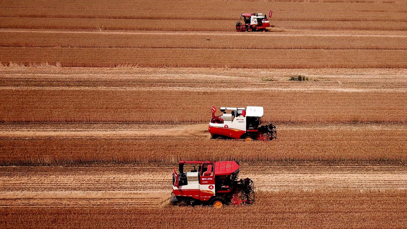 一粒米中的節糧答卷&mdash;&mdash;全社會(huì )遏制&ldquo;舌尖上的浪費&rdquo;觀(guān)察