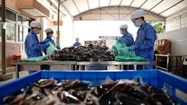 中醫藥發(fā)揮獨特優(yōu)勢&ldquo;防、治、康&rdquo;全程助力抗疫