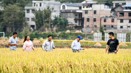 新農人給鄉村振興帶來(lái)哪些新面貌？