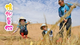 &ldquo;雙減&rdquo;后的第一個(gè)暑假，小朋友們是怎么度過(guò)的？