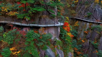 安徽九華山：霜染丹林，感受自然之美