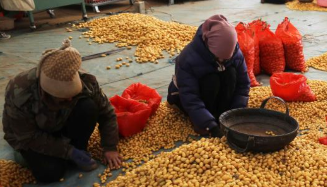 &ldquo;三西&rdquo;巨變40年：從&ldquo;苦甲天下&rdquo;到振興熱土