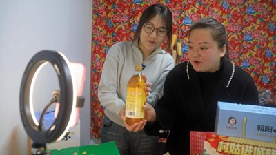 王穎：做 &ldquo;有情懷，會(huì )妙招，富鄉親&rdquo;新時(shí)代返鄉新農人