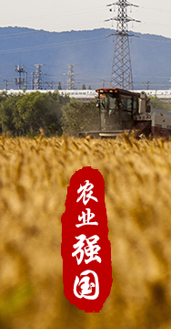 農業(yè)強國是社會(huì )主義現代化強國的根基。