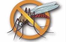 夏季，常見(jiàn)蚊蟲(chóng)如何應對