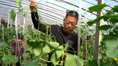 點(diǎn)亮自強自立&ldquo;心燈&rdquo;！聽(tīng)聽(tīng)這些殘疾人的創(chuàng  )業(yè)就業(yè)故事