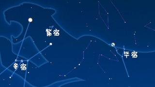 虎年來(lái)了，抬頭尋找天上的&ldquo;白虎&rdquo;