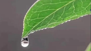 在中國古詩(shī)詞里，尋找北京冬奧的&ldquo;節氣密碼&rdquo;