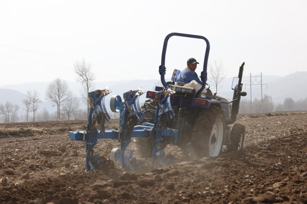 &ldquo;小洋芋&rdquo;折射高原鄉村之變