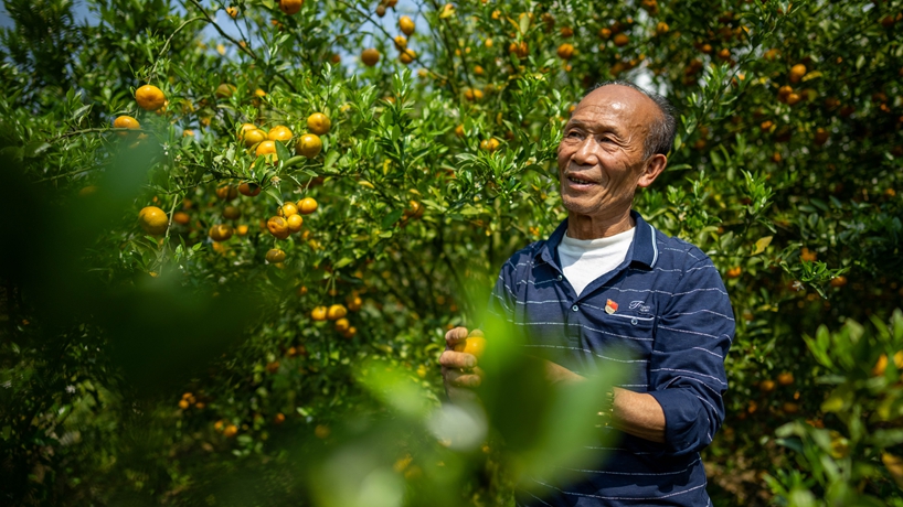 戰山斗山，一代又一代&ldquo;石漠愚公&rdquo;書(shū)寫(xiě)傳奇