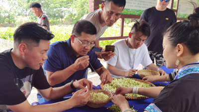 走出島內&ldquo;悶經(jīng)濟&rdquo;困境，&ldquo;登陸&rdquo;成重要選擇