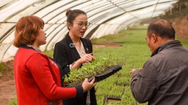 青春，在一線(xiàn)綻放芳華&mdash;&mdash;&ldquo;最美基層高校畢業(yè)生&rdquo;速寫(xiě)
