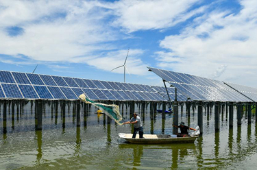 光伏魚(yú)塘上奏響綠電&ldquo;漁光曲&rdquo;