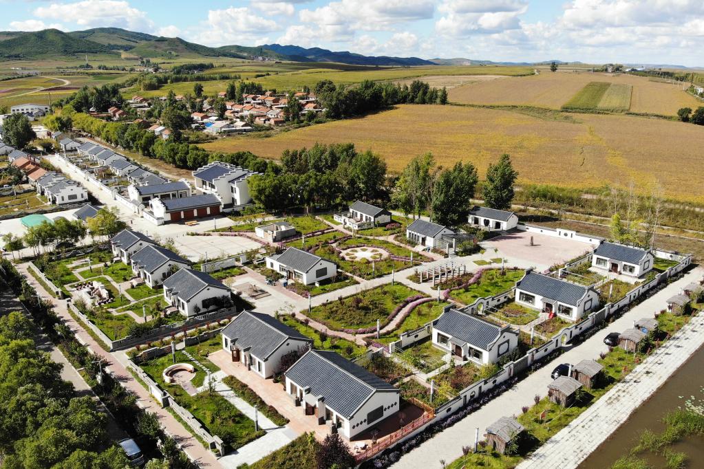 新華全媒+｜黑龍江勃利：寒地中草藥產(chǎn)業(yè)助力鄉村振興