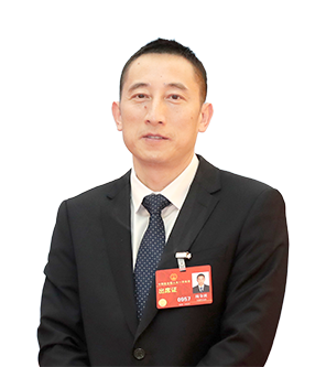 推廣新型室內裝飾綠色材料 提高裝飾材料環(huán)保標準