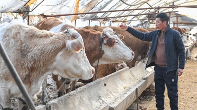 吉林：金融活水流向田間地頭、工廠(chǎng)車(chē)間