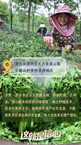 這就是信心丨應季收獲忙！看田間地頭上的增收新路子