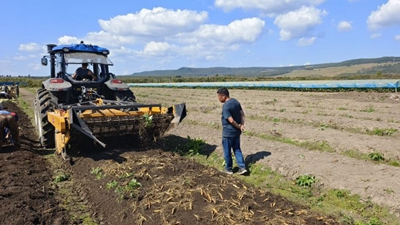 吉林：科技創(chuàng  )新推動(dòng)人參產(chǎn)業(yè)升級