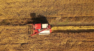 全國產(chǎn)糧大縣吉林梨樹(shù)秋收觀(guān)察