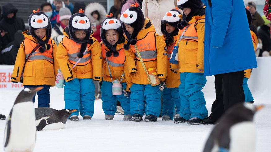開(kāi)年旺！這樣熱氣騰騰的生活真帶勁