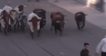 西班牙小鎮舉行新冠疫情后首個(gè)奔牛節