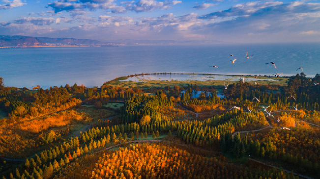 【遇見(jiàn)云南生物多樣性之美】&ldquo;春城&rdquo;萬(wàn)物生