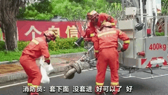 海南三亞：路邊景觀(guān)樹(shù)上驚現30斤蟒蛇