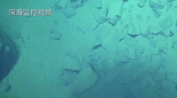 8919米！我國科學(xué)家首次探底雅浦海溝 成功采集深淵樣本