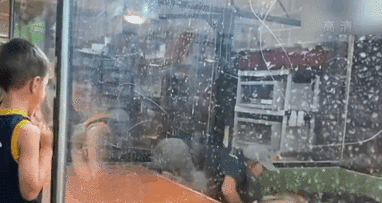 表演時(shí)被咬 美飼養員&ldquo;鱷口逃生&rdquo;