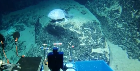 創(chuàng  )新源動(dòng)力：我國深?？瓶歼M(jìn)入萬(wàn)米時(shí)代